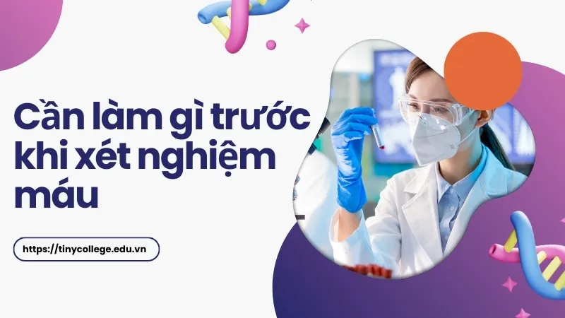 Trước khi xét nghiệm máu cần làm gì? Hướng dẫn từ chuyên gia 1