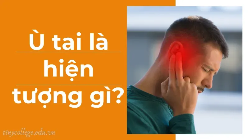 ù tai phải có điềm gì 1