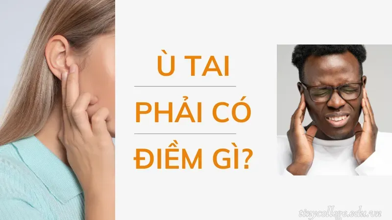 ù tai phải có điềm gì 4