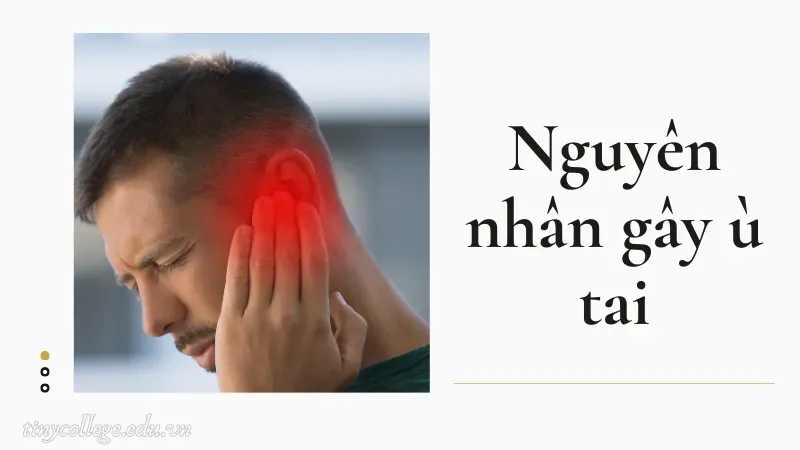 ù tai trái là điềm gì 9