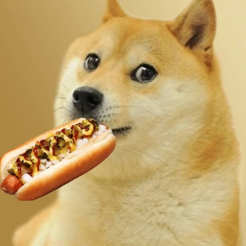 Cheems doge meme cực kỳ hài hước và luôn làm người xem phải bật cười.