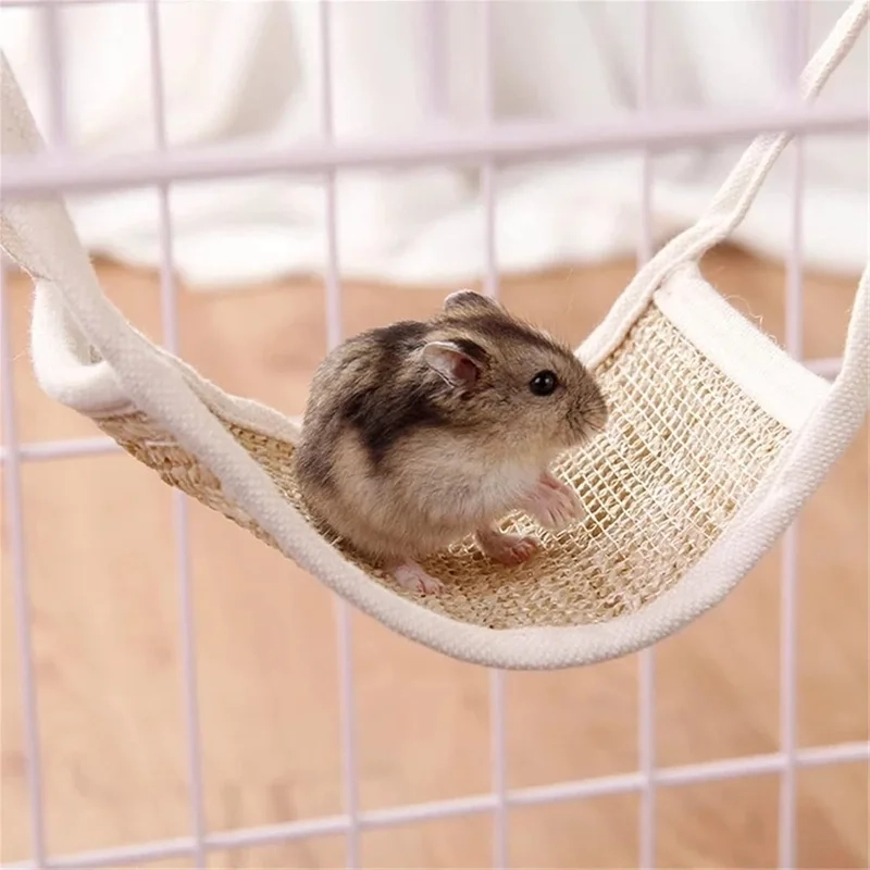 Hình ảnh chuột hamster meme đầy ngộ nghĩnh và dễ thương.