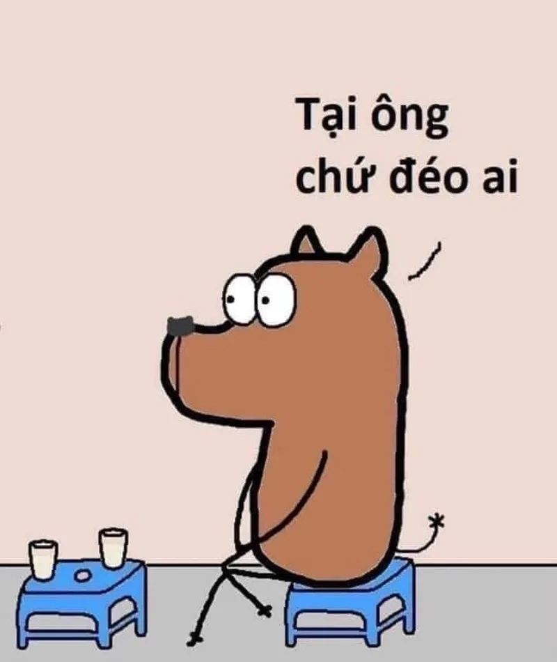 Chửi nhau bằng hình ảnh trong meme giúp các cuộc tranh luận trở nên vui nhộn và thú vị hơn.