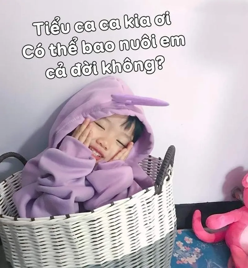 Hình ảnh meme em bé thể hiện những khoảnh khắc ngọt ngào, dễ thương không thể bỏ qua.