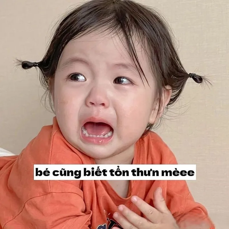 Hình ảnh em bé meme là lựa chọn lý tưởng cho những ai yêu thích sự ngọt ngào và hài hước.