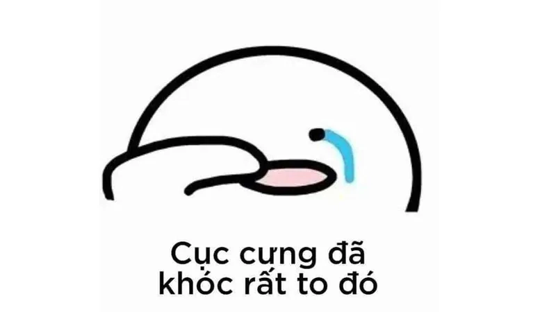 Những cute ảnh meme hài sẽ làm bạn ngất ngây với sự dễ thương.