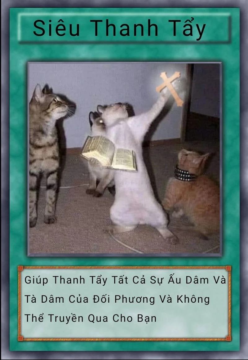 Bộ bài yugioh meme kết hợp giữa chiến lược và hài hước, mang lại sự thú vị.