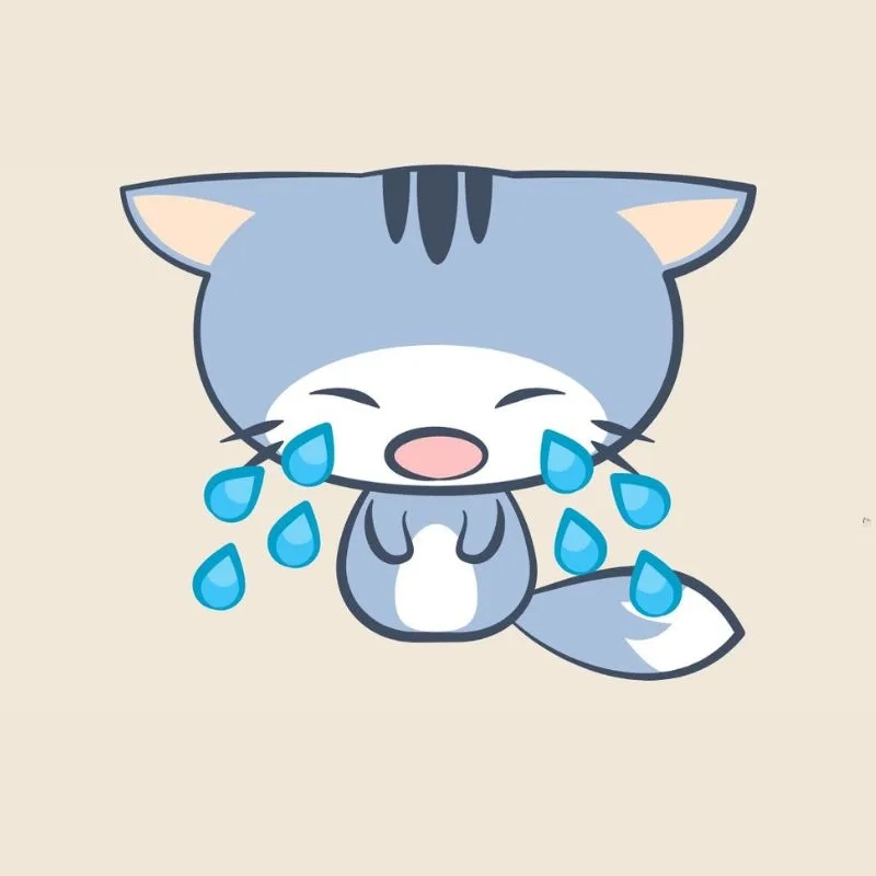 Kitten crying cats meme khiến bạn phải 