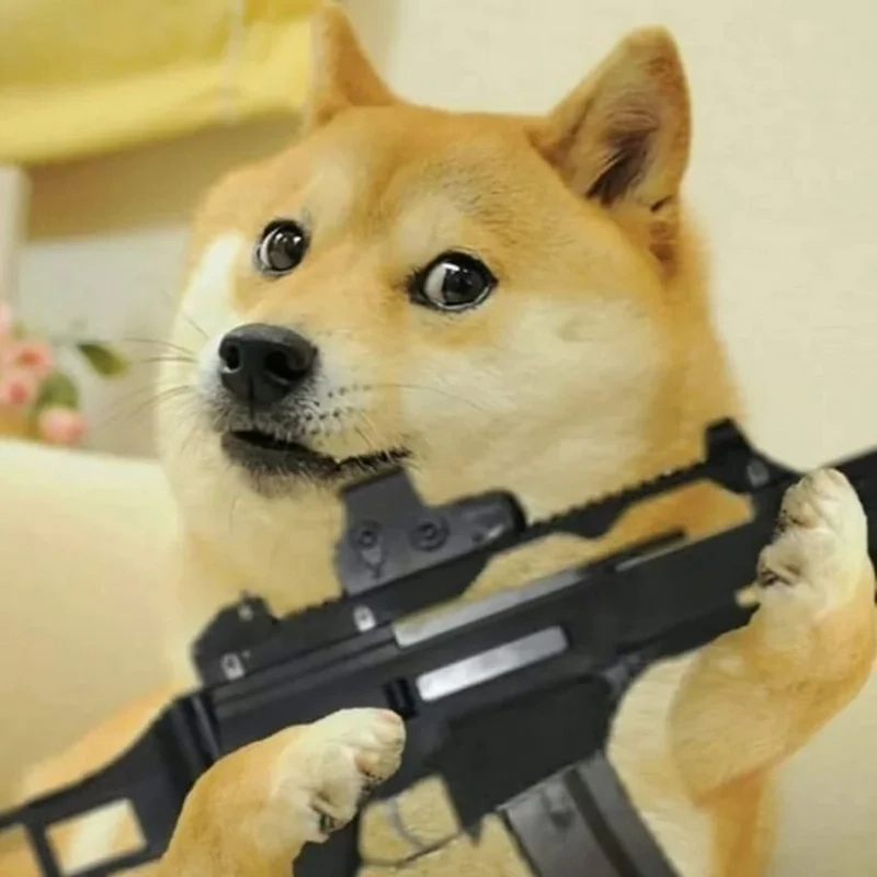 Con chó Shiba meme với những biểu cảm độc đáo luôn thu hút sự chú ý của cộng đồng mạng.