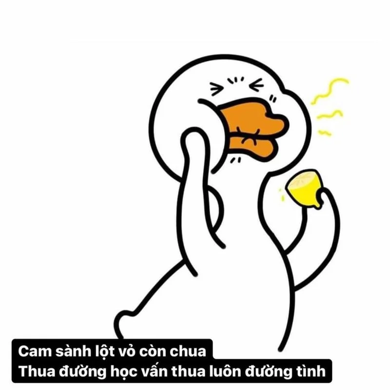 Meme vịt weibo là sự kết hợp hoàn hảo giữa đáng yêu và hài hước.