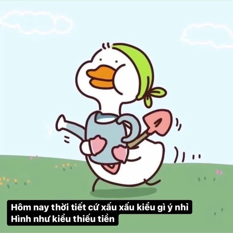 Vịt cute meme là hình ảnh bạn cần để làm mới ngày mới của mình.