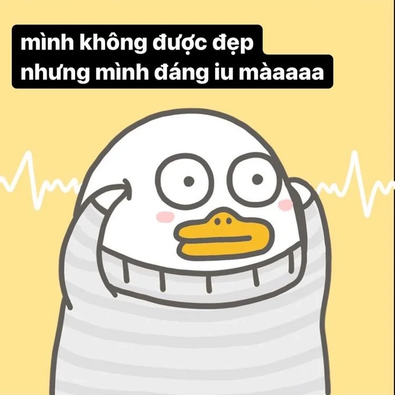 Meme avatar vịt ngáo tạo nên điểm nhấn độc lạ cho hình đại diện.