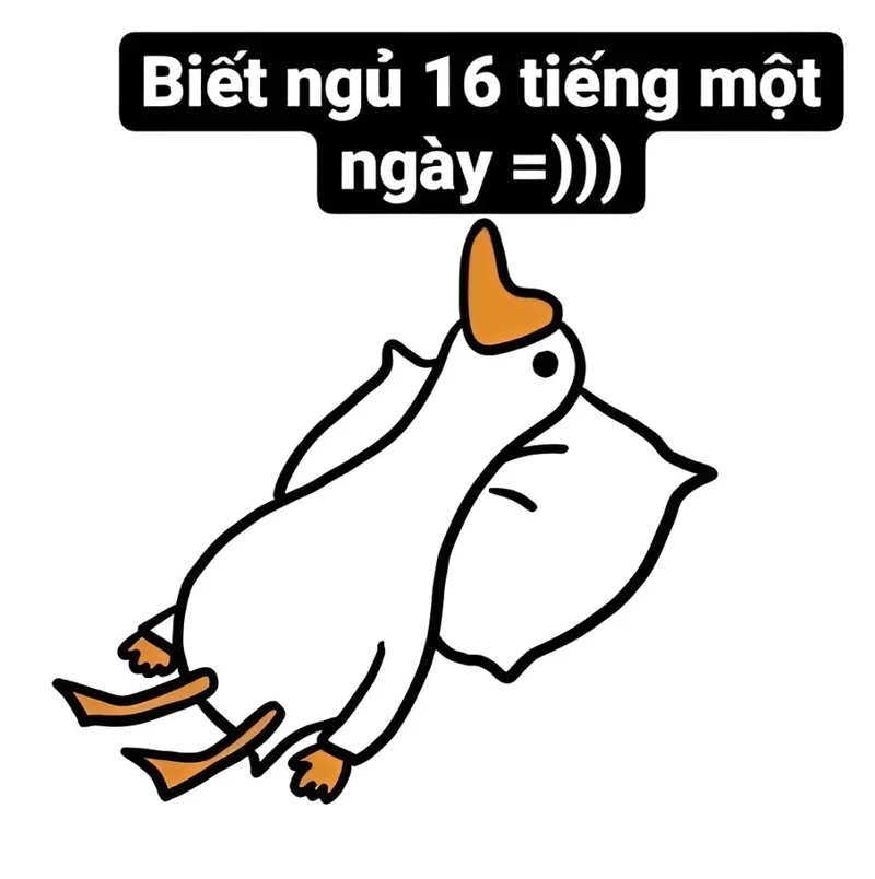 Nước đổ đầu vịt meme mang thông điệp hài hước và đầy sáng tạo.