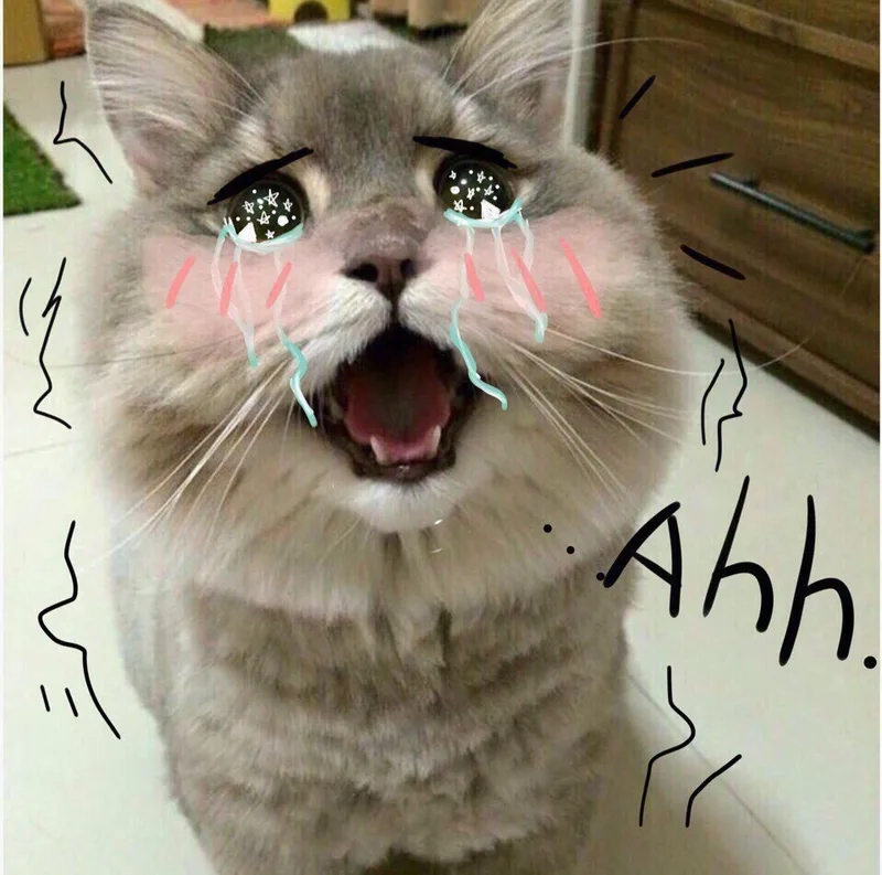 Cry meme cat này sẽ khiến bạn không thể dừng lại mà không cười.