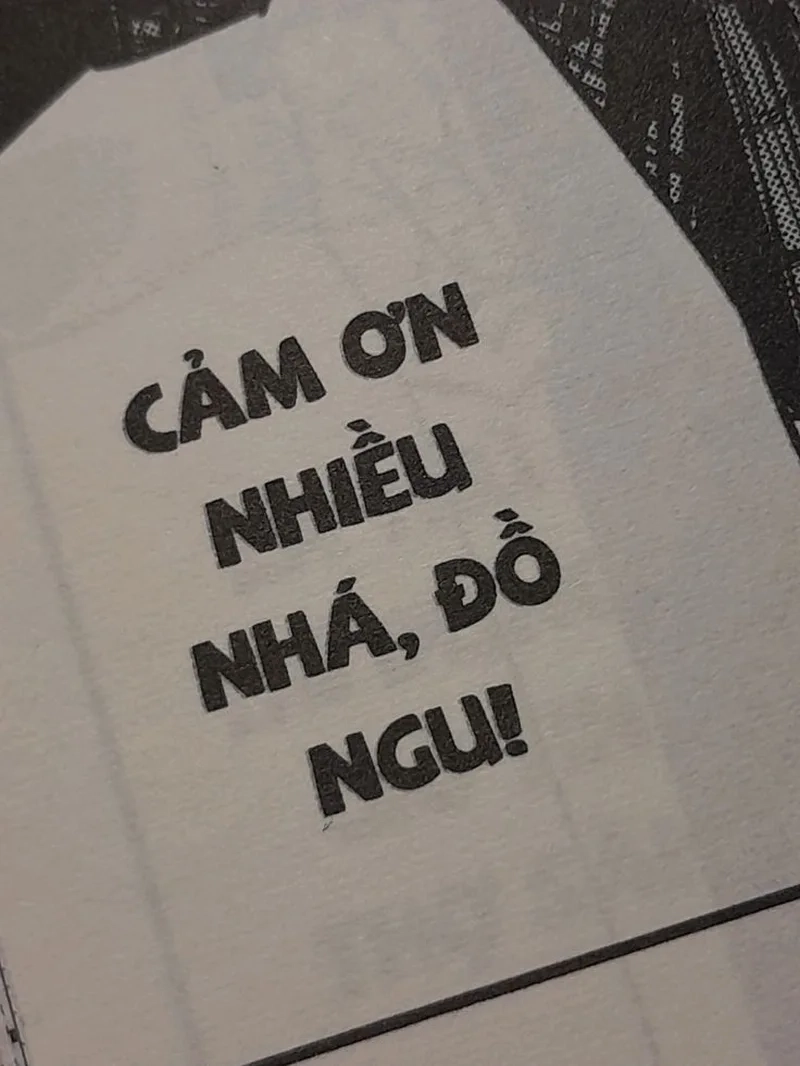 Mèo đánh nhau meme là sự thể hiện những cuộc đối đầu hài hước giữa các chú mèo.