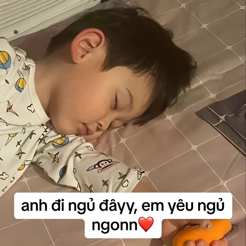 Ảnh ngủ meme cực hài hước sẽ giúp bạn thư giãn trước khi ngủ.