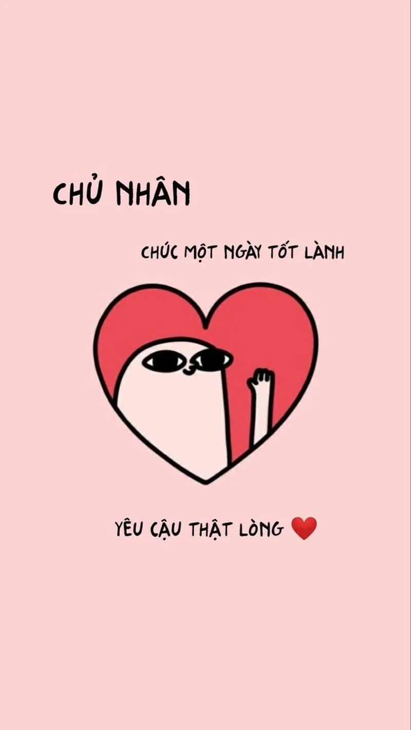 Hình nền điện thoại meme sẽ là sự lựa chọn hoàn hảo để thể hiện cá tính và sự hài hước của bạn.