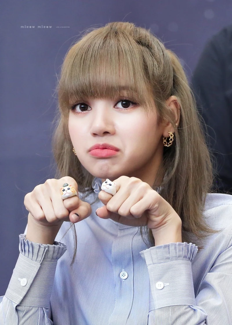 Lisa Blackpink meme đầy thú vị, chắc chắn sẽ khiến bạn không thể rời mắt.