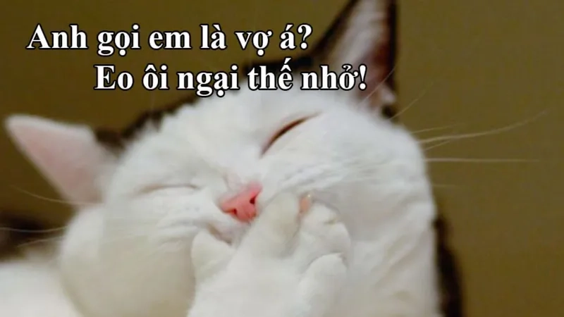 Meme chúc ngủ ngon hài hước là món quà đặc biệt cho những người bạn thân.