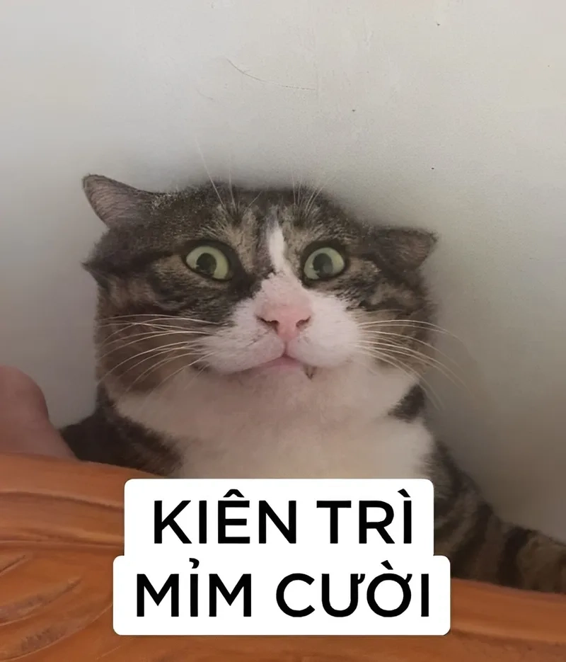 Meme ảnh anh da đen hài hước luôn khiến người xem bất ngờ.