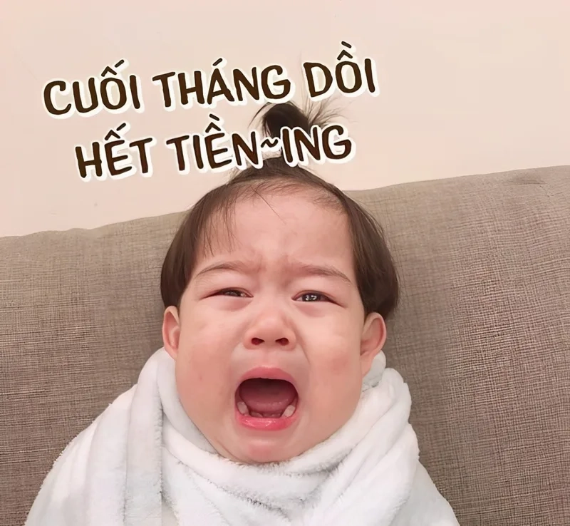 Khi chú mèo cầm tiền, meme này tạo ra một sự kết hợp đáng yêu với tình huống tiền bạc.