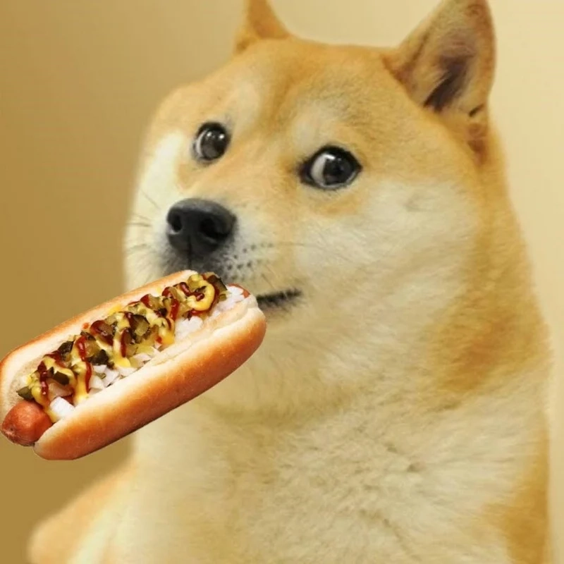 Shiba meme PNG giúp bạn tải về và chia sẻ những khoảnh khắc hài hước mọi lúc mọi nơi.