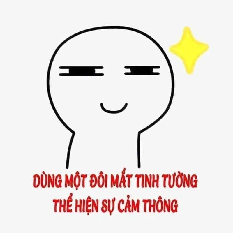 Meme chửi con mèo mang đến những câu nói hài hước qua sự đáng yêu của các chú mèo.