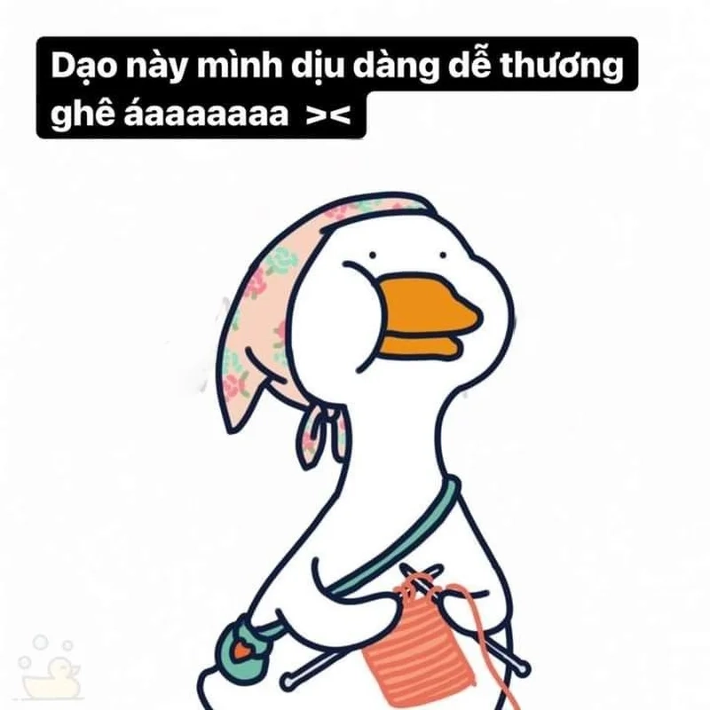 Ảnh meme con vịt sáng tạo và hài hước cho mọi cuộc trò chuyện.