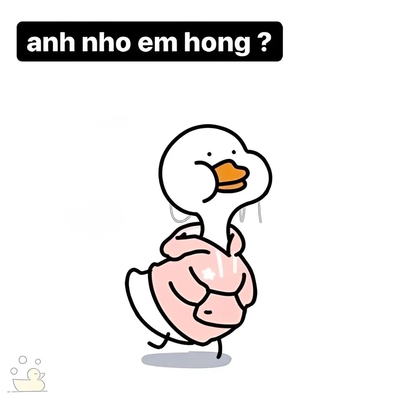 Meme thú mỏ vịt là cách thể hiện sự hài hước đầy sáng tạo.