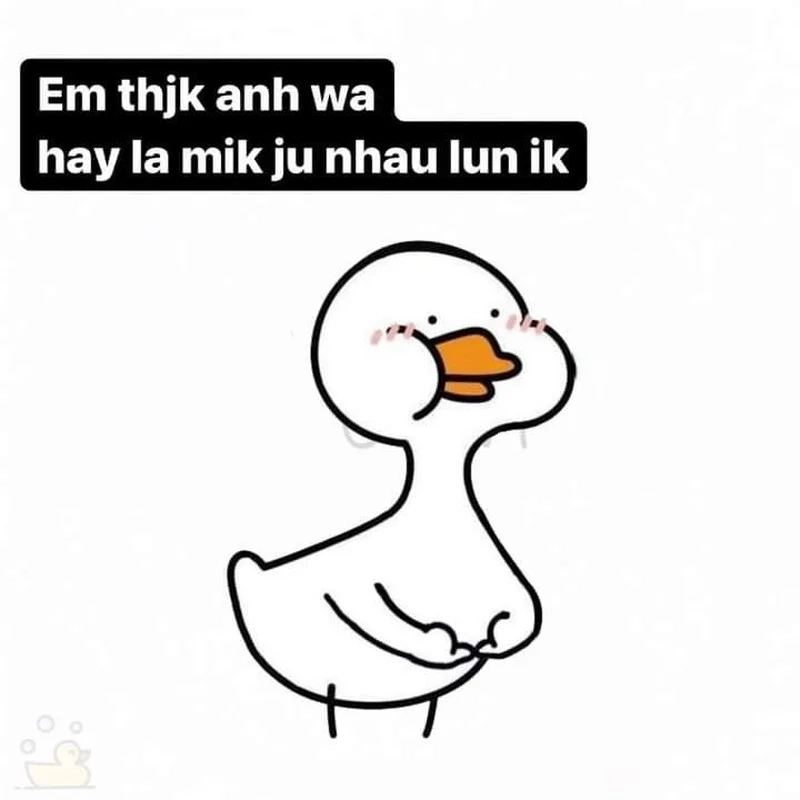 Meme con vịt cười lan tỏa niềm vui đến mọi người xung quanh.