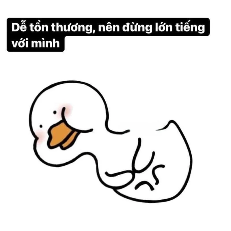 Ngáo ngơ meme vịt weibo mang lại nụ cười rạng rỡ mỗi ngày.