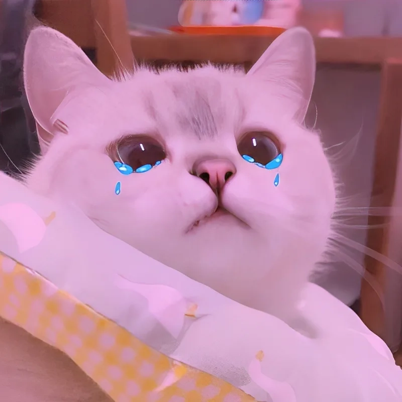 Crying jerry meme mang đến sự kết hợp giữa dễ thương và hài hước.