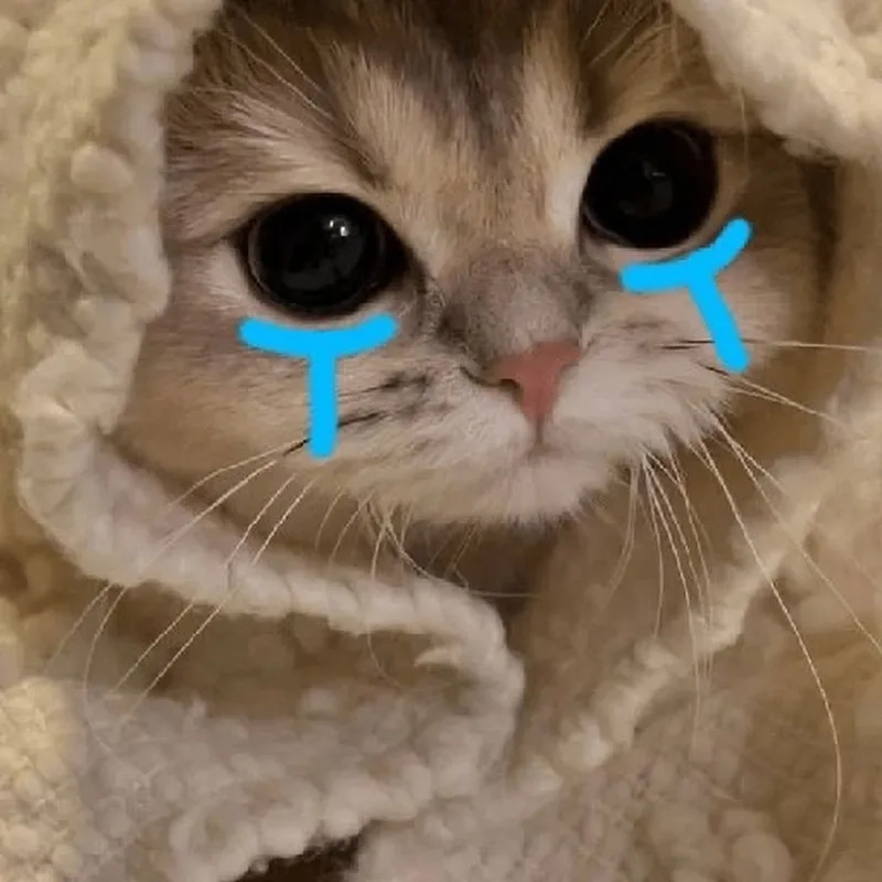 Pepe crying meme mang đến một sự kết hợp giữa sự ngộ nghĩnh và buồn cười.