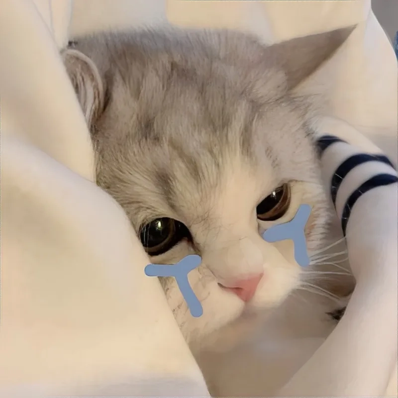 Wojak crying meme là một trong những meme nổi tiếng với biểu cảm khóc.