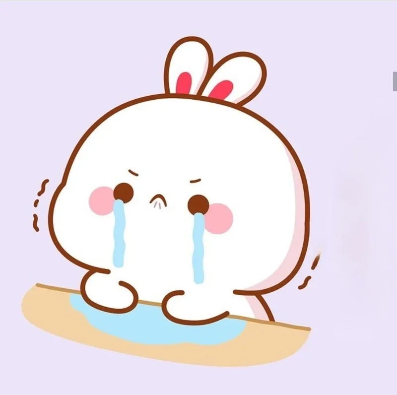 Girl cry meme là meme với hình ảnh cô gái khóc trong các tình huống đáng yêu và hài hước.