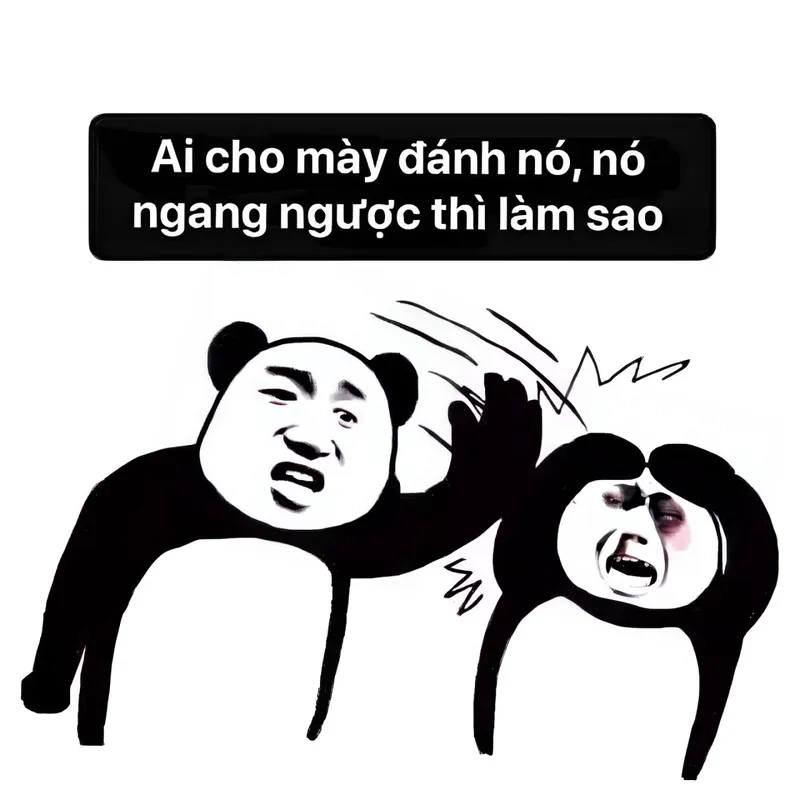 Meme đánh đàn cực kỳ thú vị, mang đến những khoảnh khắc vui nhộn không thể bỏ qua.