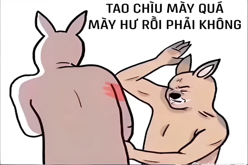 Meme gấu trúc đánh cực kỳ dễ thương và ngộ nghĩnh, khiến bạn không thể không yêu thích.