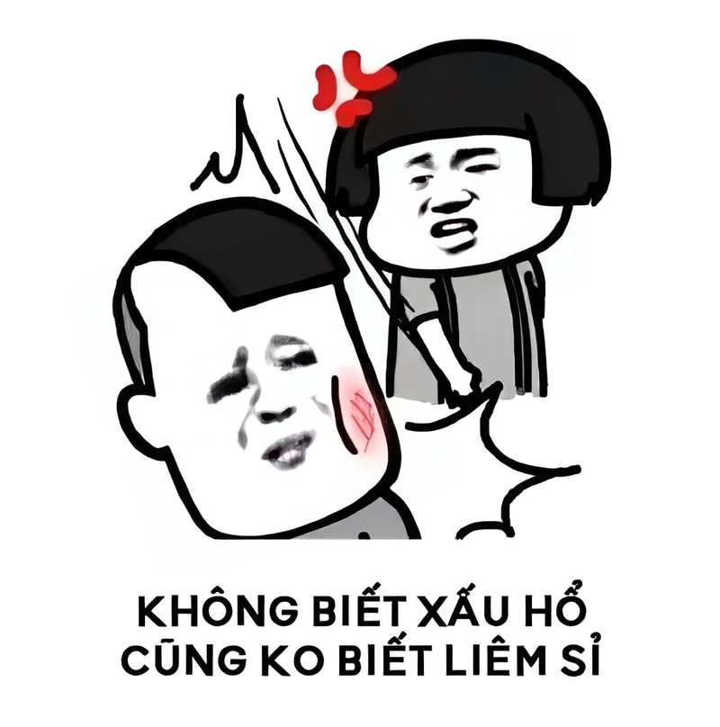 Meme mèo đánh lộn gây cười với những trận chiến ngộ nghĩnh giữa các con vật dễ thương.