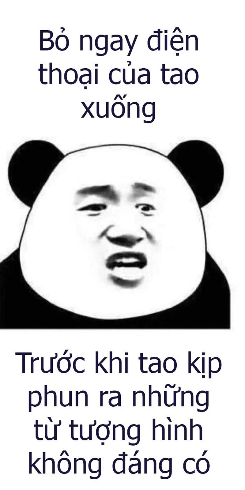 Chuyện cười Weibo meme gấu trúc troll face làm nóng cộng đồng mạng với những khoảnh khắc vui nhộn.