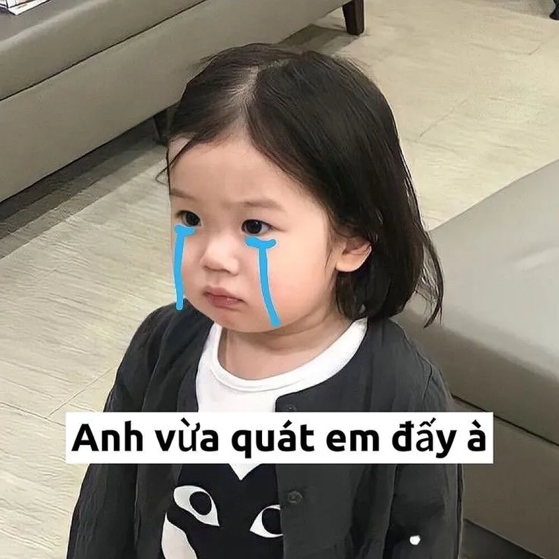 Hãy làm mới cuộc trò chuyện của bạn với ảnh meme hài hước.