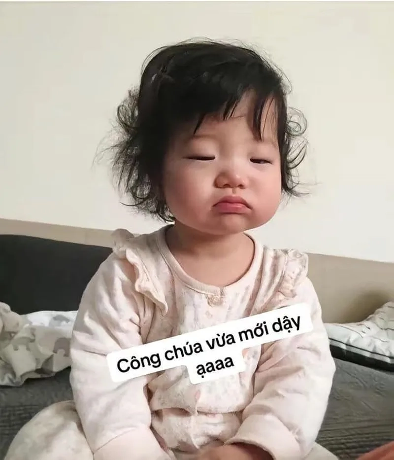 Hình meme hài độc đáo sẽ giúp bạn nâng cao phong cách vui nhộn.