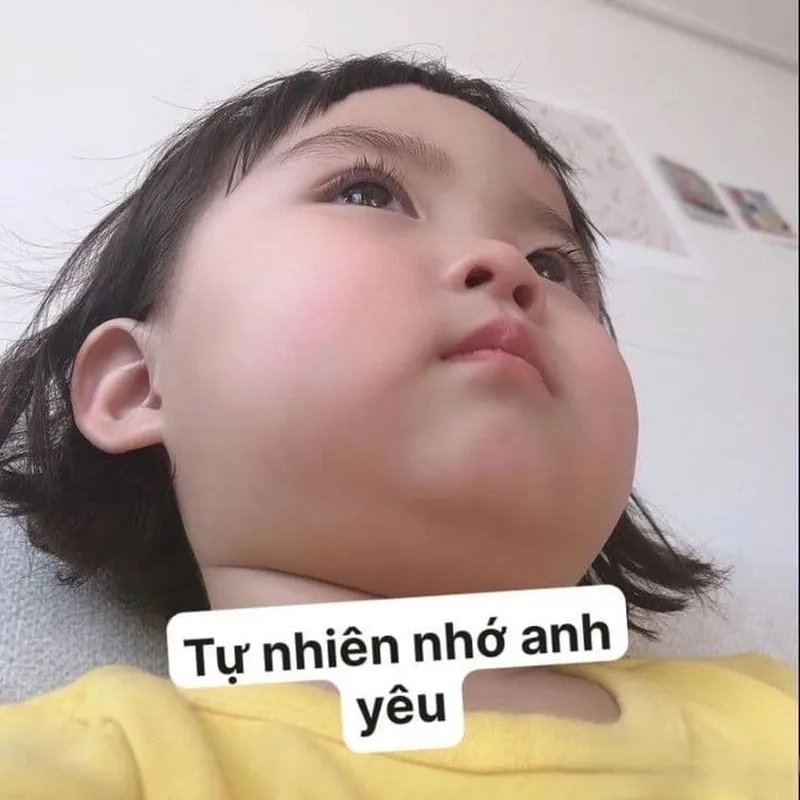 Khám phá bộ sưu tập các meme hài hước không thể thiếu trong cuộc sống.