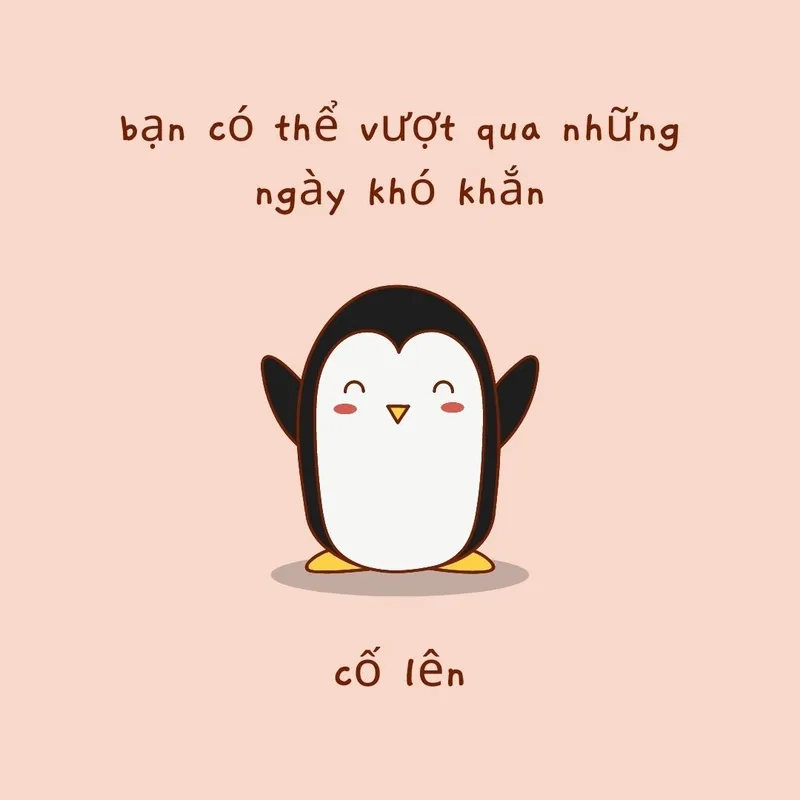 Chuột cống meme mang đến tiếng cười vui vẻ và giải trí.