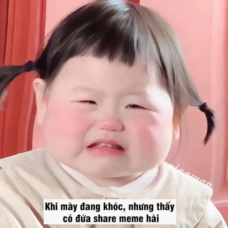 Hình meme hài hước không thể thiếu trong bộ sưu tập hình ảnh vui nhộn của bạn.