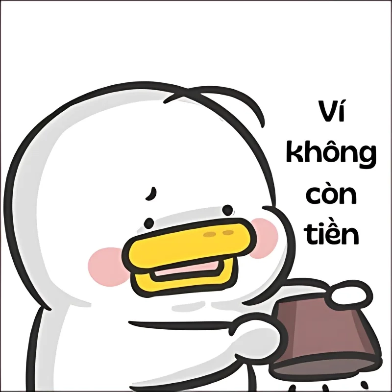 Khi chú mèo xin tiền, meme này sẽ khiến bạn phải bật cười vì sự đáng yêu.