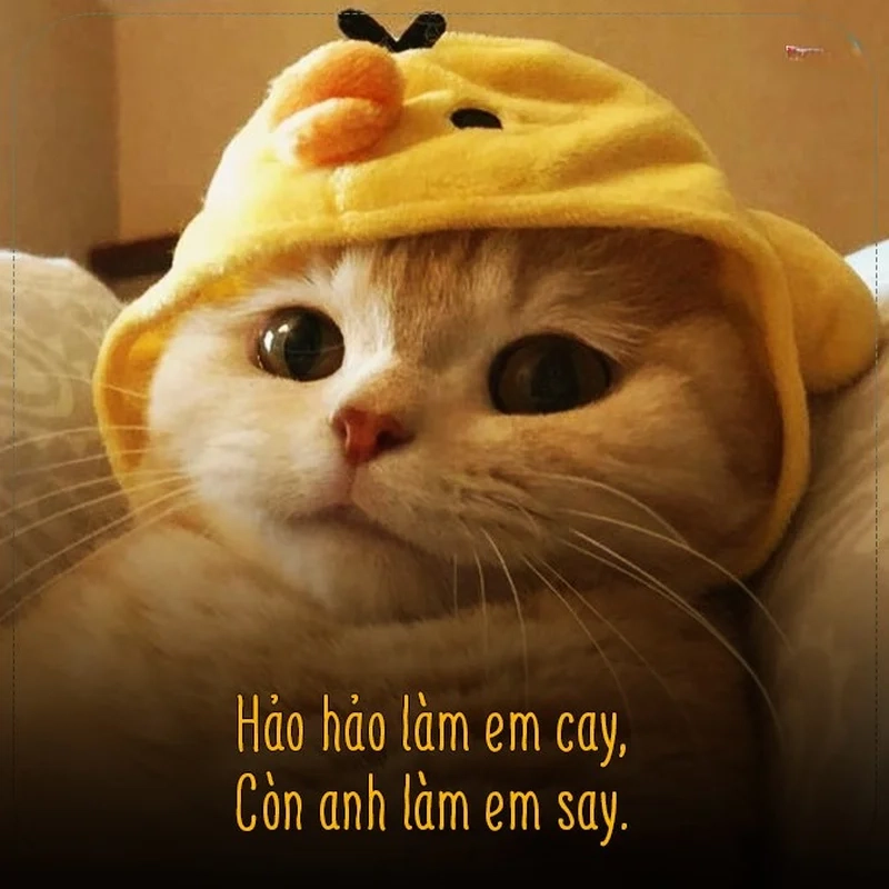 Meme về tình yêu giúp bạn truyền tải cảm xúc yêu thương một cách độc đáo và đầy ý nghĩa!