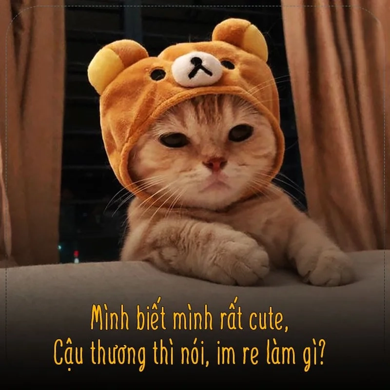 Meme yêu 1 người vô tâm sẽ mang đến những câu chuyện tình yêu thú vị và đầy bất ngờ!