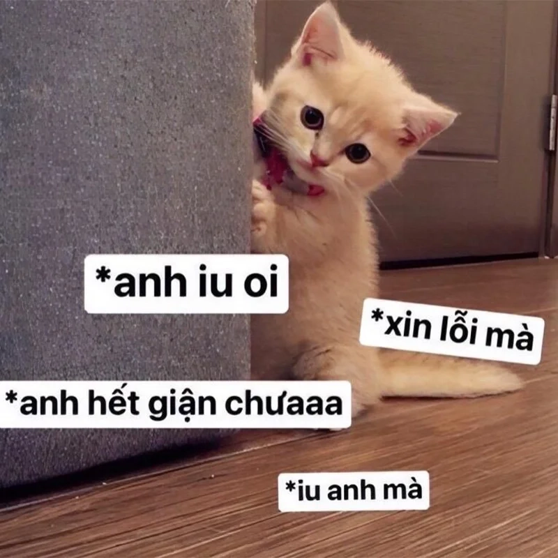 Xin lỗi người yêu chưa bao giờ hài hước đến thế với meme này!