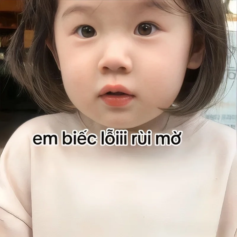 Meme xin lỗi mèo chắc chắn sẽ khiến bạn bật cười mỗi khi xem.