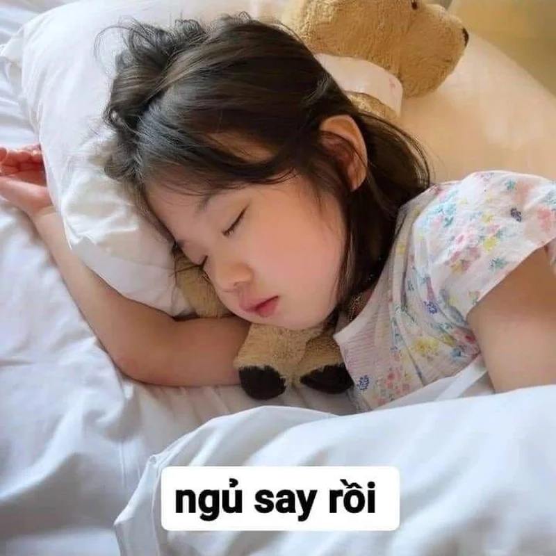 Tặng bạn bè meme ngủ đi để nhắc họ đi ngủ đúng giờ.